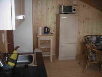 Fridge and microwave